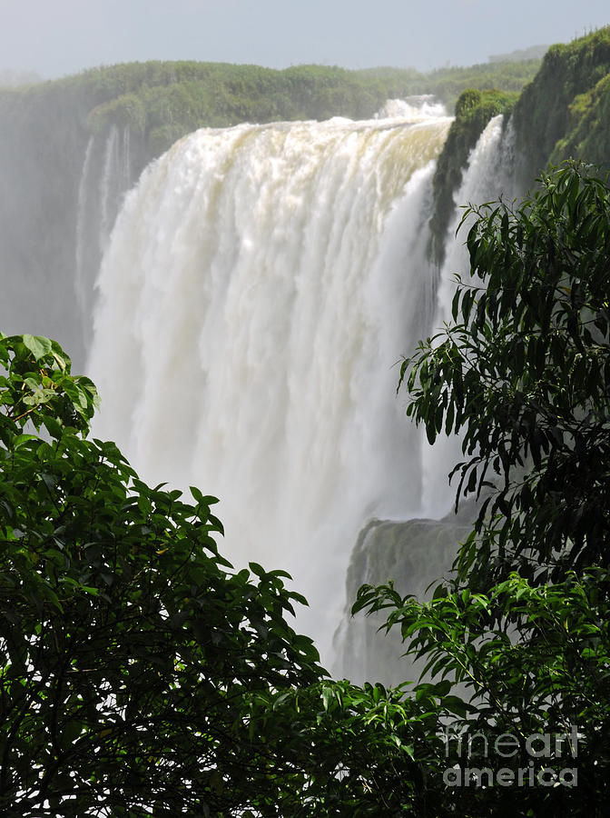 Iguacu Falls Through the Trees Photograph by Vivian Christopher