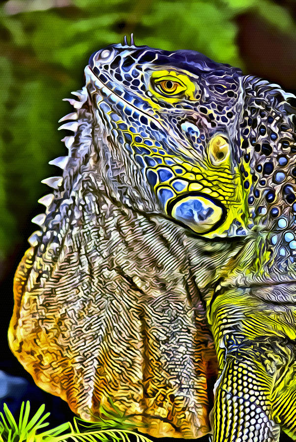 Iguana 1 Digital Art by Patrick Lynch - Fine Art America