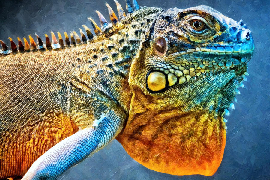 Iguana 8 Digital Art by Ingrid Smith-Johnsen | Fine Art America