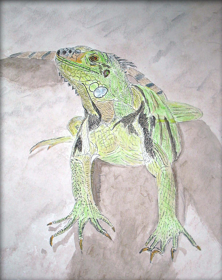 Iguana Painting by Linda Feinberg