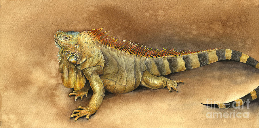 Iguana Painting by Nan Wright