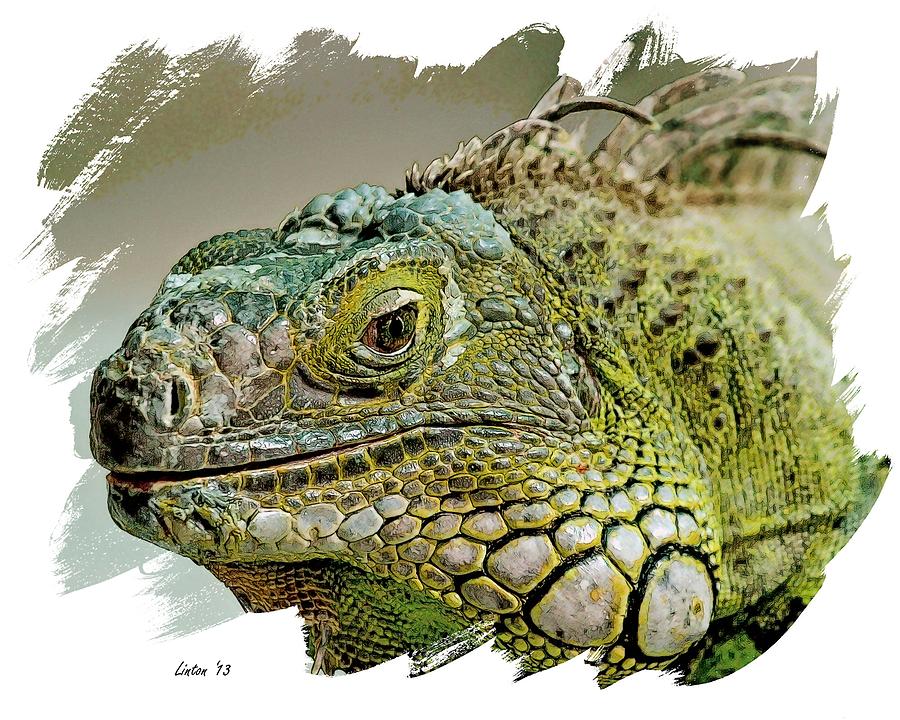 Iguana Verde 2 Digital Art by Larry Linton