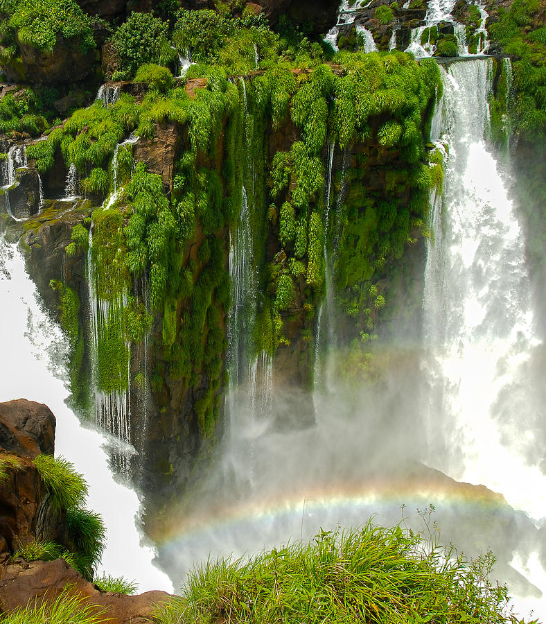 Iguazu Falls by Mike-Hope Photograph by Michael Hope