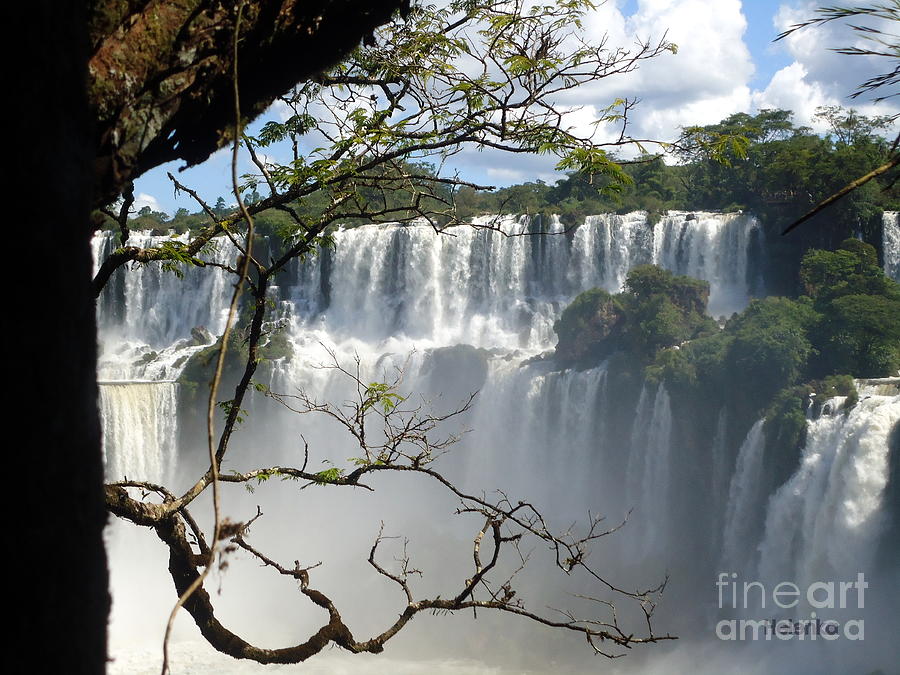 Iguazu Falls II Painting by Helena Wierzbicki