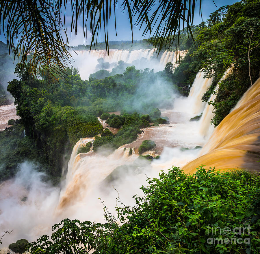 Jungle Photograph - Iguazu Natural Wonder by Inge Johnsson