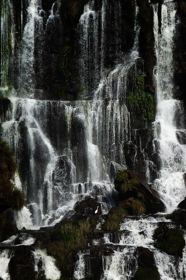 Iguazu Waterfalls I Photograph by Xueling Zou