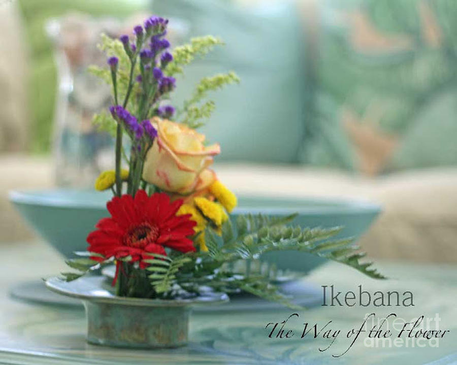 Ikebana Photograph by Rosemary Aubut