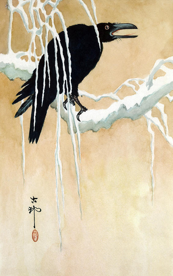 Ikeda Blackbird In Snow Painting by Granger
