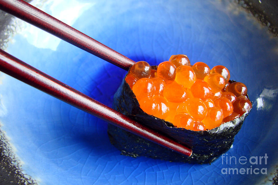 Ikura, salmon eggs sushi Photograph by Delphimages Photo Creations