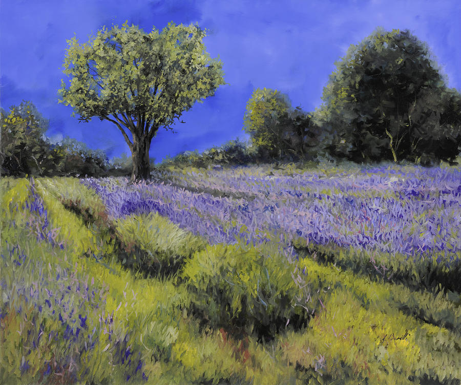 Il Campo Di Lavanda Painting by Guido Borelli