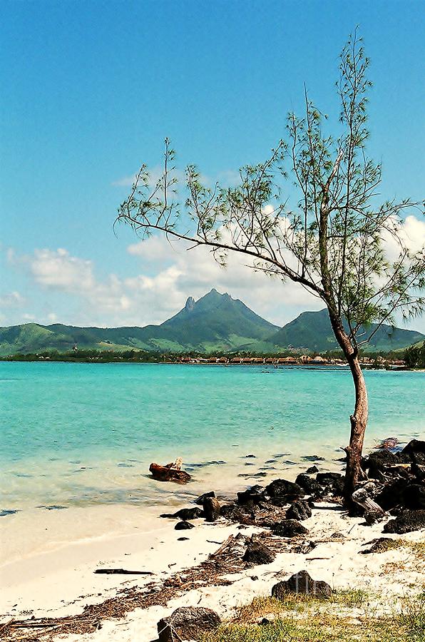 Paradise Photograph - Ile aux Cerfs Mauritius by David Gardener