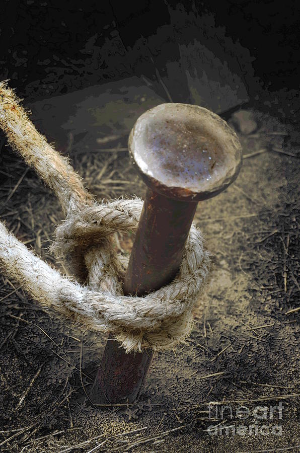 Rope Photograph - Ill Be Your Anchor by The Stone Age