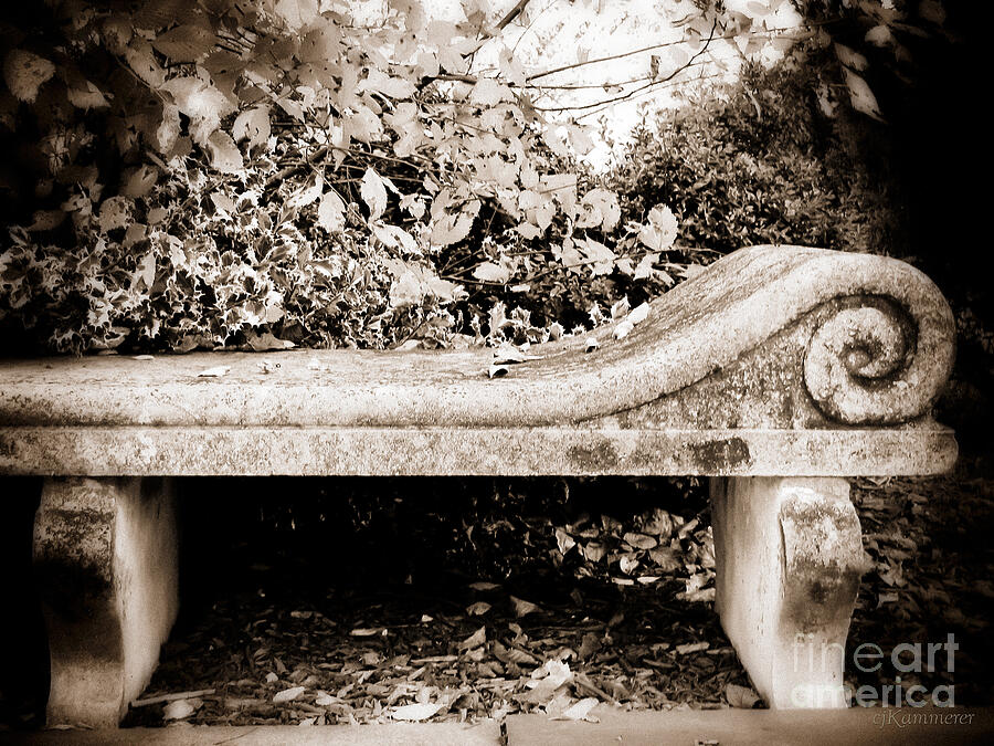 Fall Photograph - Ill Wait for You by Colleen Kammerer