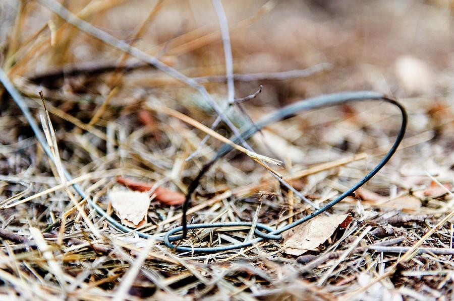 Illegal Poaching Snare Photograph by Science Photo Library
