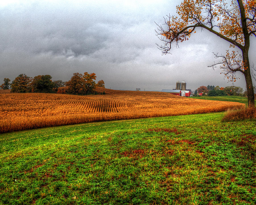 Illinois Farmland I Photograph by Roger Passman