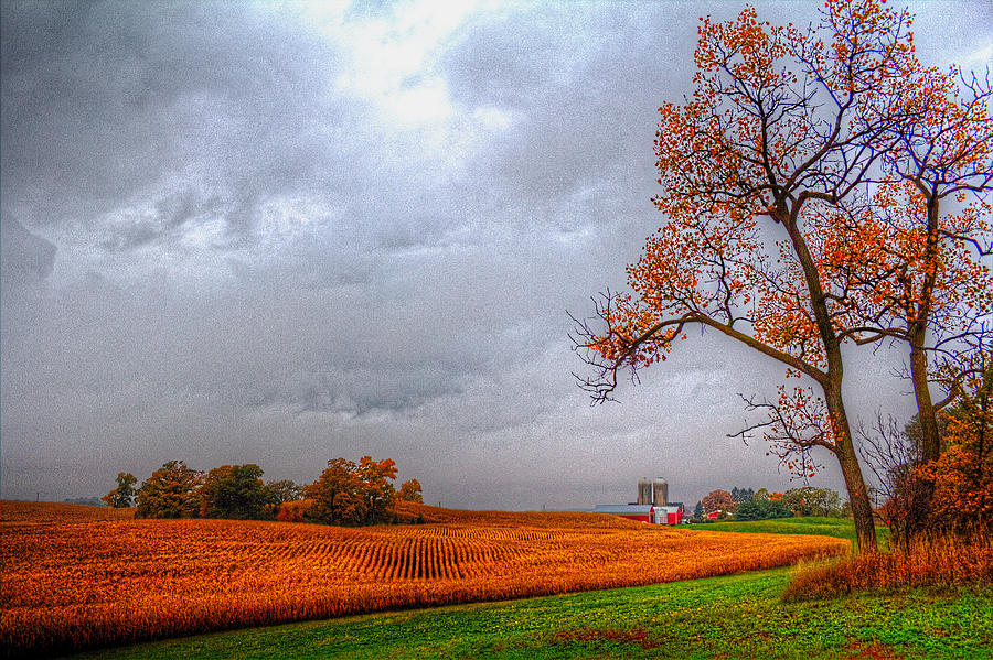 Illinois Farmland II Photograph by Roger Passman