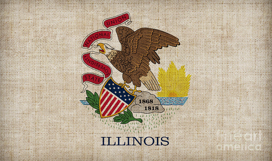 Flag Painting - Illinois State Flag by Pixel Chimp