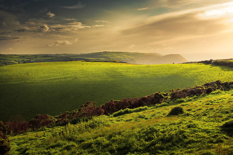Summer Photograph - Illuminated Evening Landscape North Devon by Dorit Fuhg