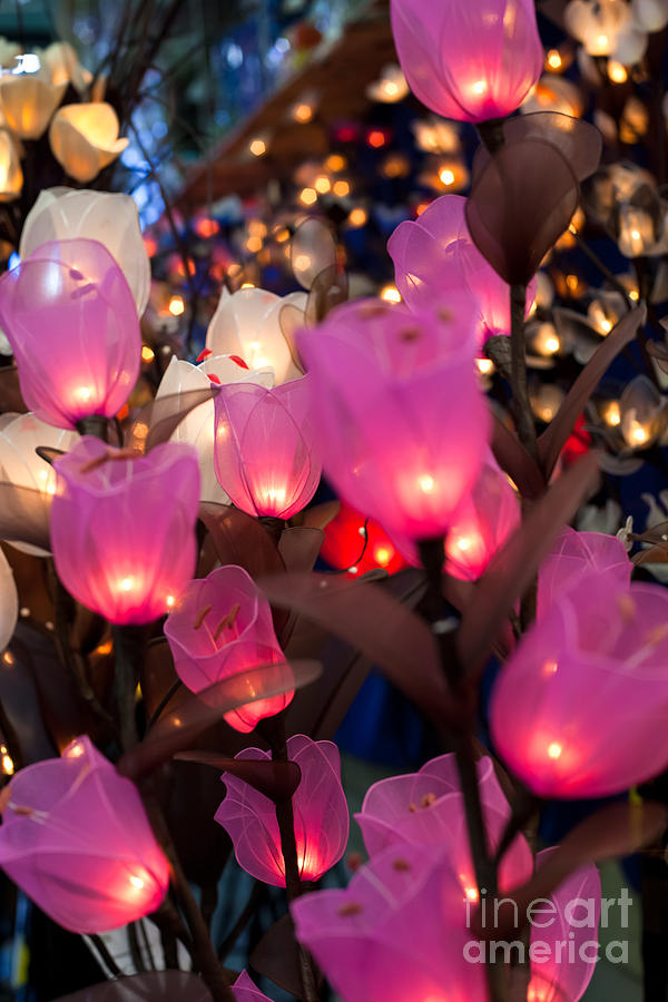 Lamp Photograph - Illuminated Silk flowers in Bangkok Thailand by Fototrav Print