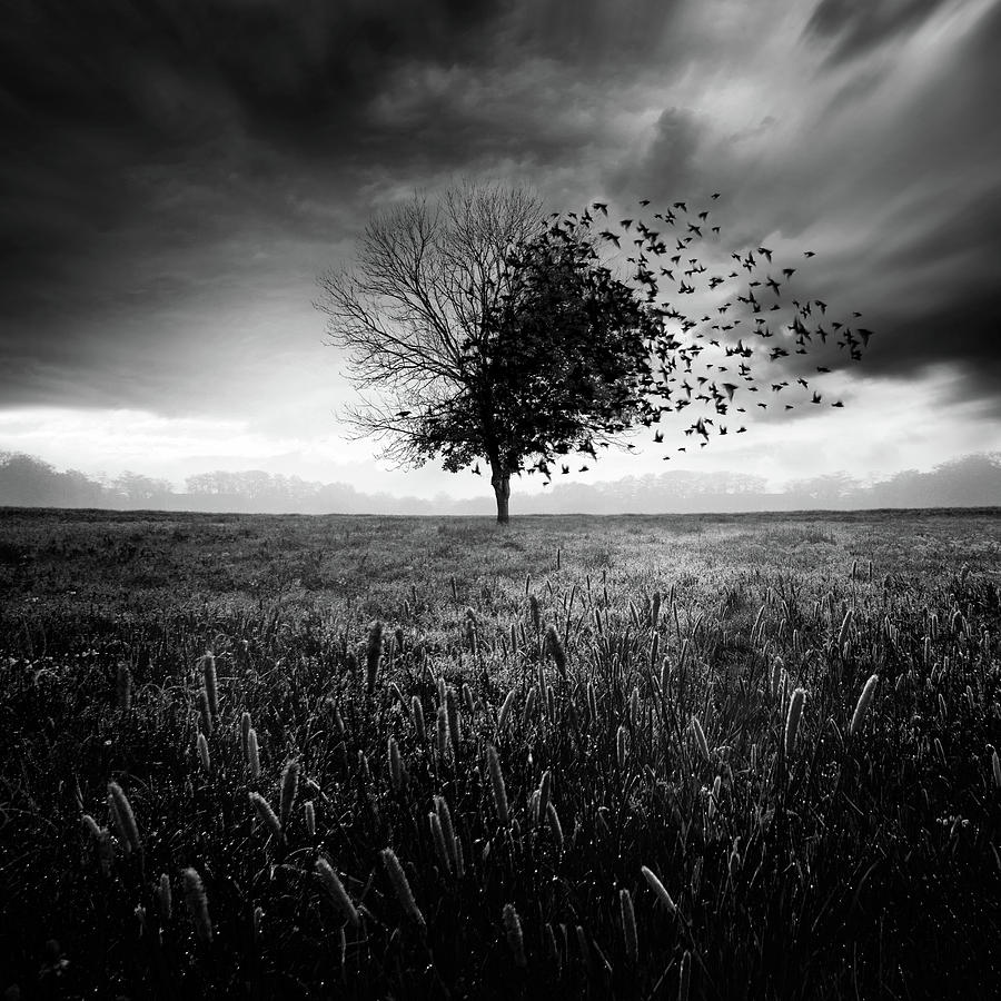 Lonely Photograph - Illusion Dun Printemps Perdu by Sebastien Del Grosso