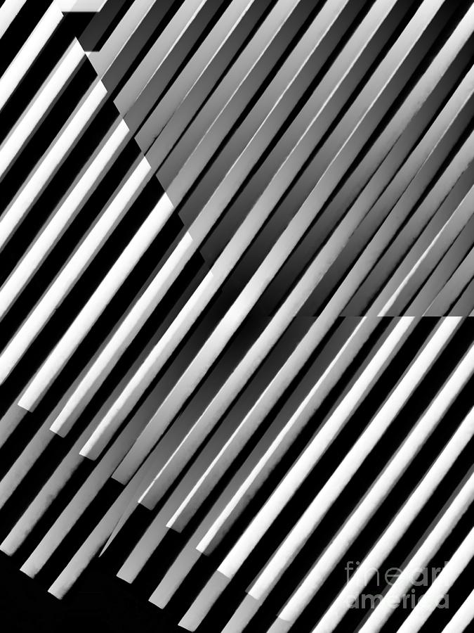 Black And White Digital Art - Illusion in Black and White by Sarah Loft