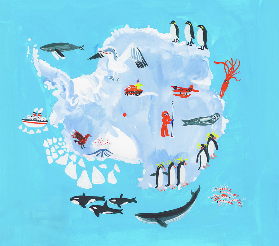 Illustrated Map Of Antarctica Photograph by Ikon Ikon Images