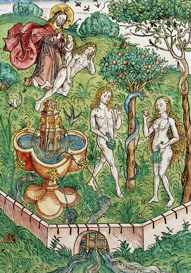 Illustration Of Adam And Eve In The Garden Of Eden Photograph by Jean-loup Charmet/science Photo Library