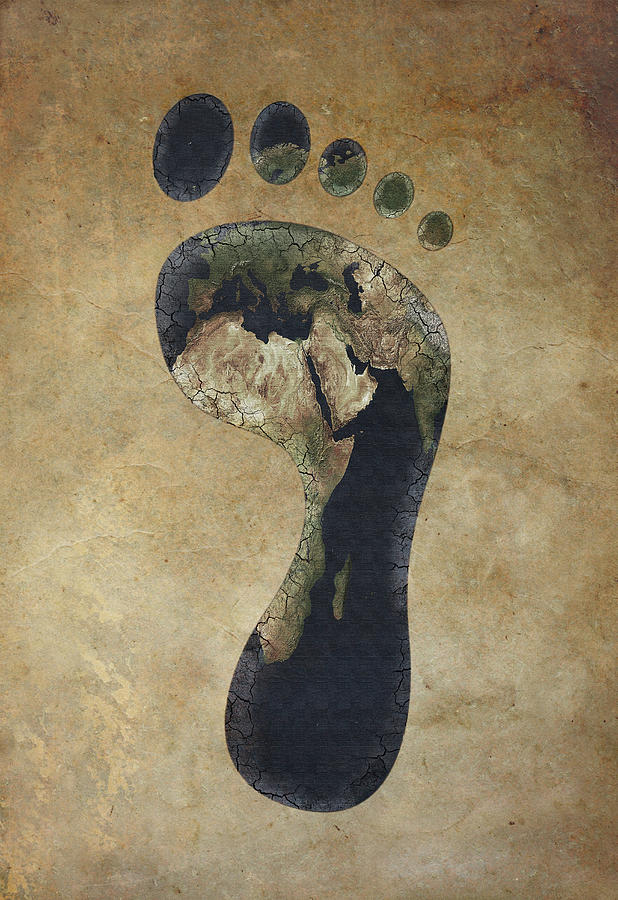 Illustration Of Carbon Footprint Photograph by Fanatic Studio / Science