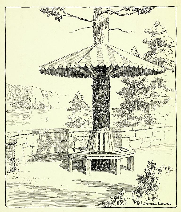 Illustration Of Park Bench Around Tree Photograph by Schell Lewis