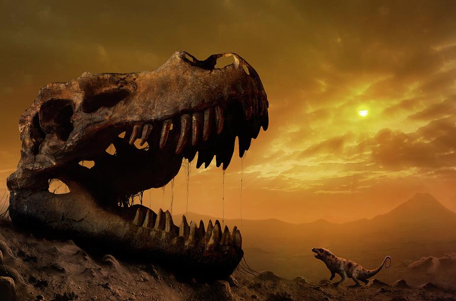 Armageddon Photograph - Illustration Of Ptilodus And T Rex Skull by Mark Garlick/science Photo Library