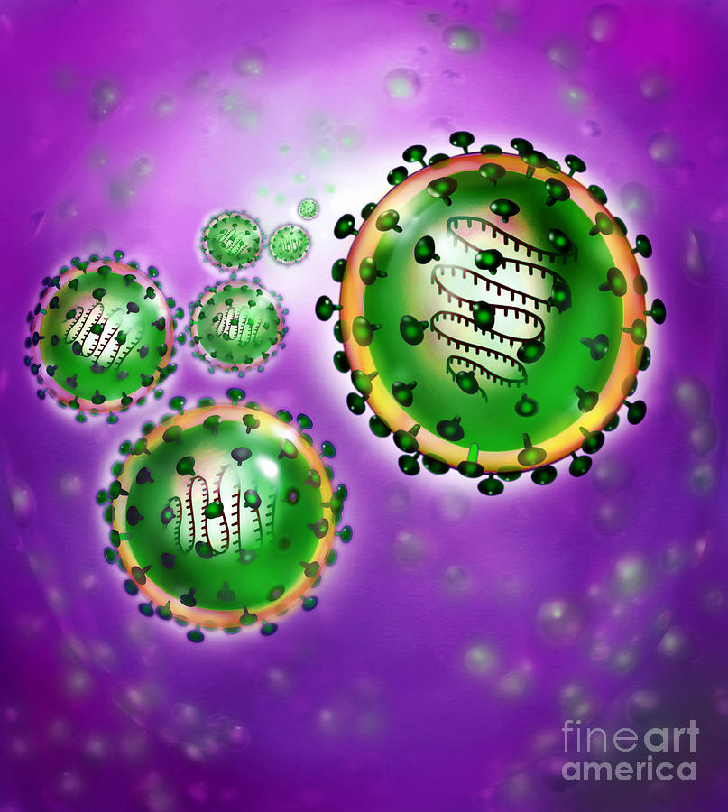 Illustration Of Sars Virus Photograph by Jim Dowdalls