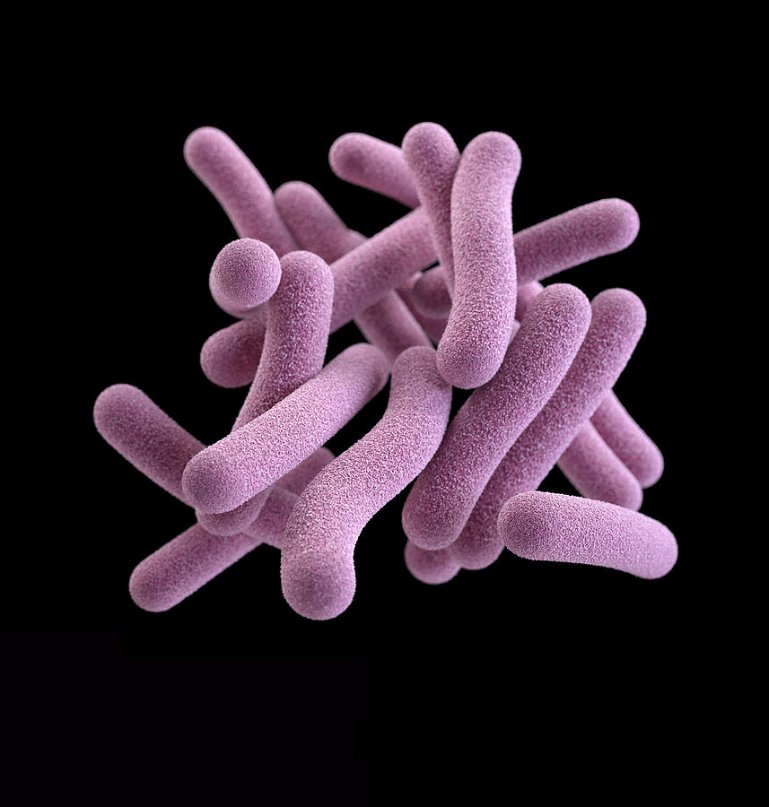 Illustration Of Tuberculosis Photograph by Science Source