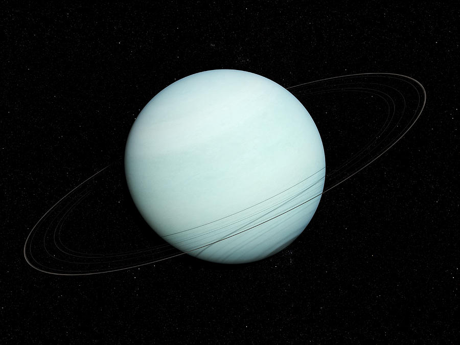 Illustration of Uranus Drawing by Sciepro/science Photo Library