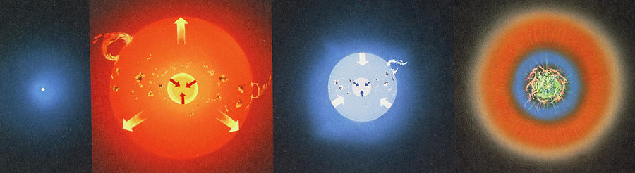 Illustration Showing Evolution Of A High Mass Star Photograph by Sally Bensusen (1988)/science Photo Library