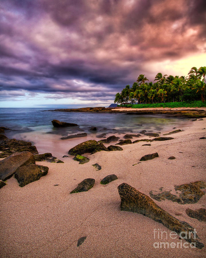 Iluminated Beach Photograph by Anthony Michael Bonafede