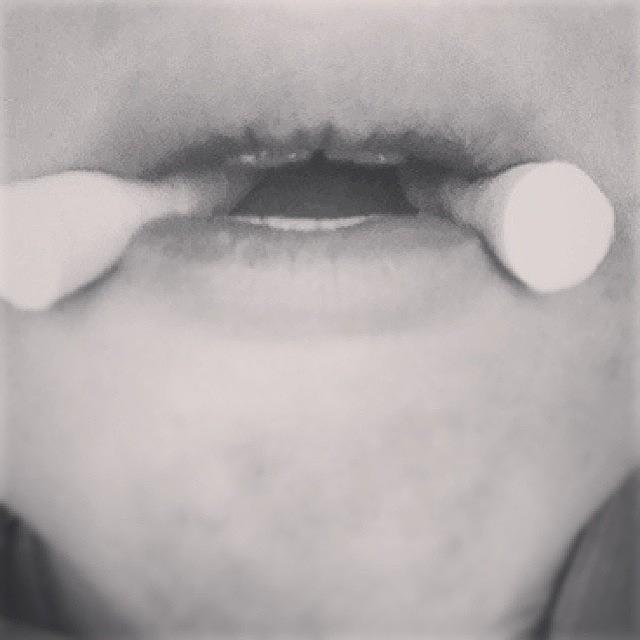 Im A Walrus Heh Heh.. Heh My Mouth Is Photograph by Alyssa Byrd