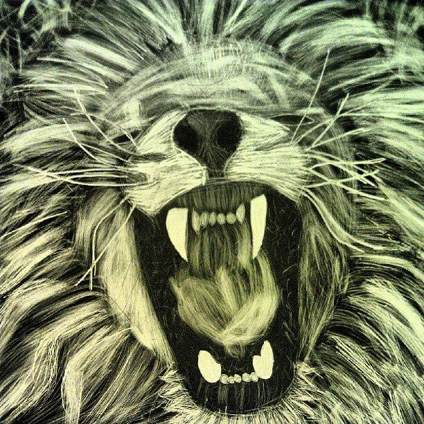 Lion Photograph - Im An Artist Ok #artsy #mine #lion by Paige Davis
