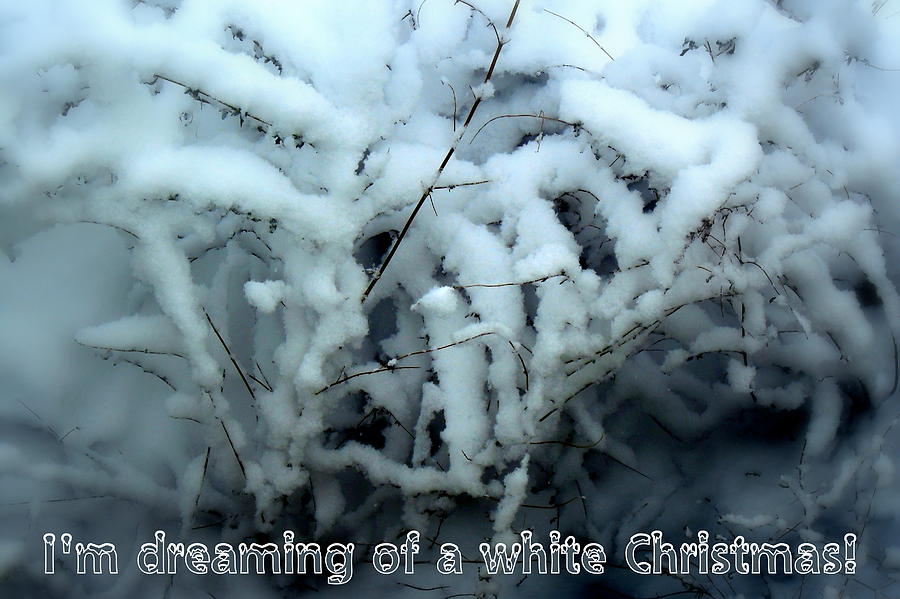 Im dreaming of a white Christmas Photograph by Jodie Marie Anne Richardson Traugott          aka jm-ART