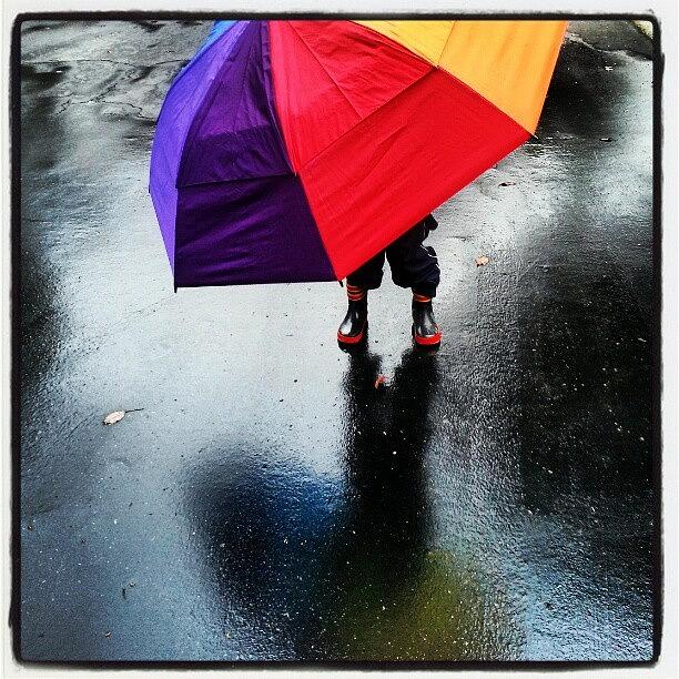 Umbrella Photograph - Im Not The Only One Who Loves This by Johanna Love