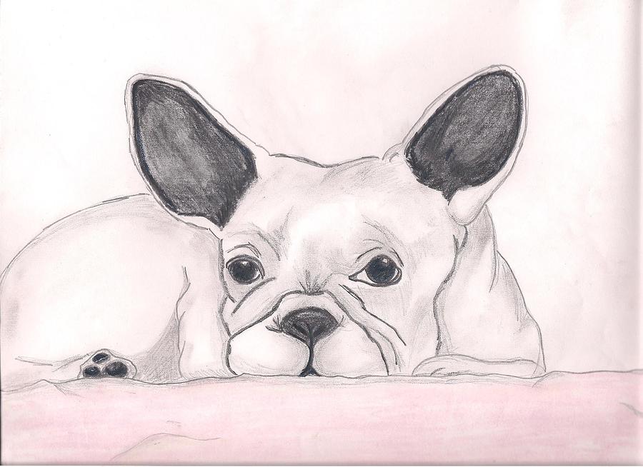 Dog Drawing - Im sorry the cat told me to by Danita  Higham