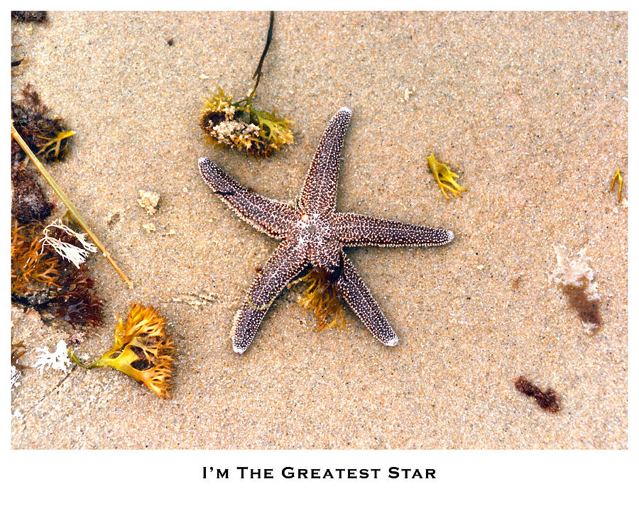 I m the greatest star photograph by lorenzo laiken fine art america