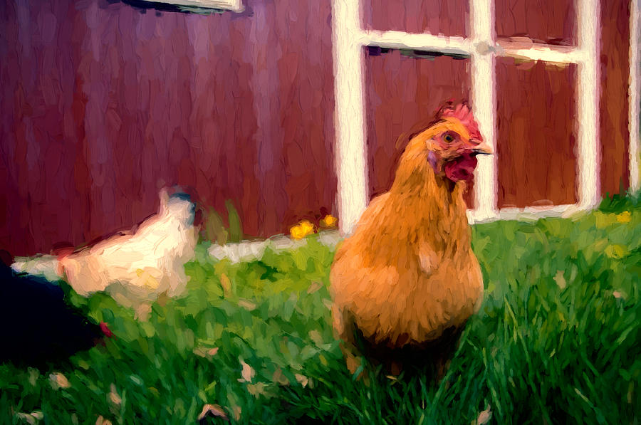 Chicken Mixed Media - Im Watching You by John K Woodruff