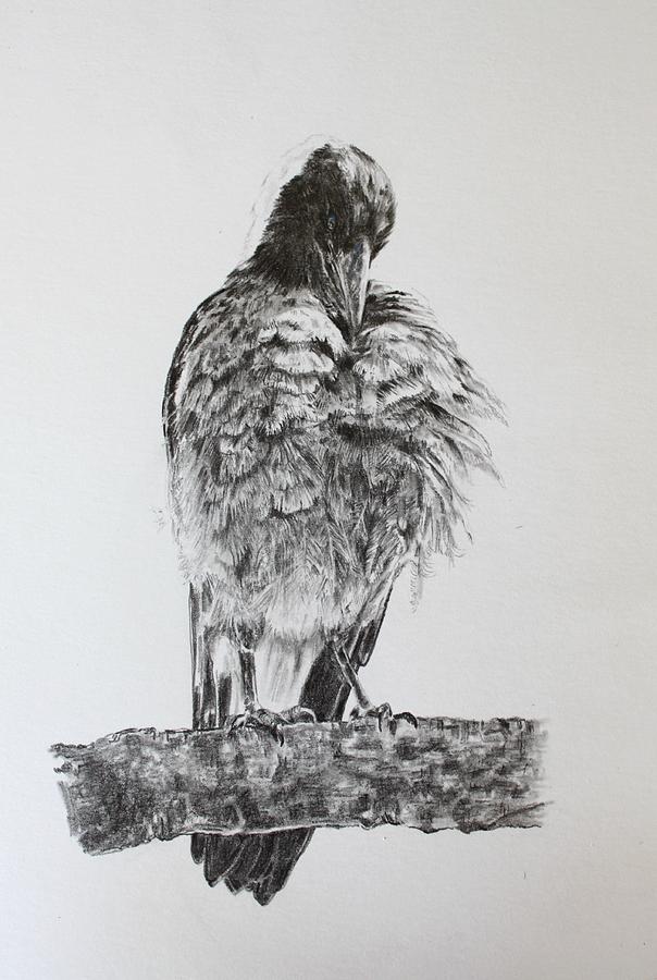 Bird Drawing - Image is Everything by Leonie Bell