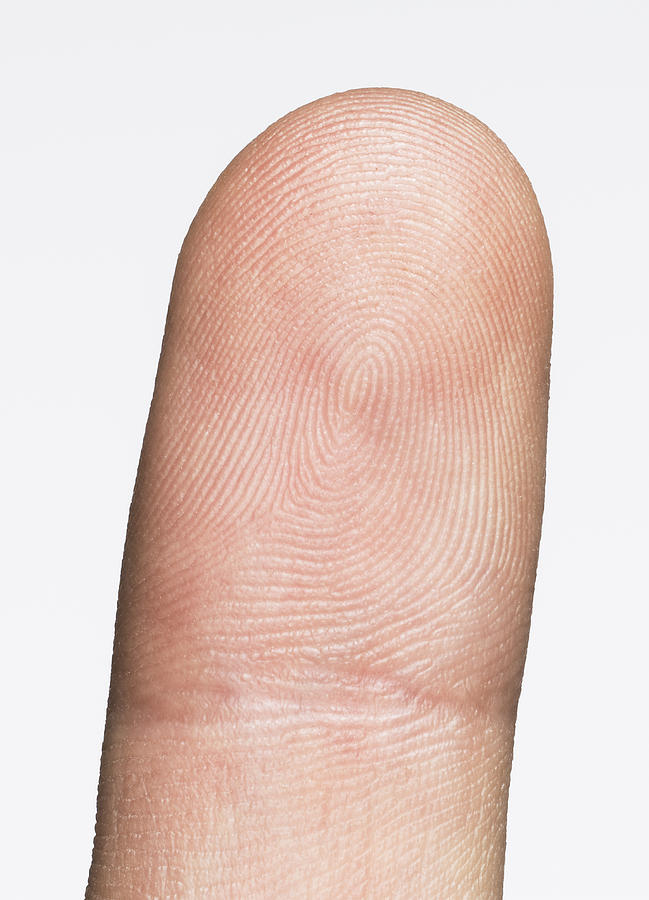 Image of a finger with visible lines Photograph by Jonathan Knowles