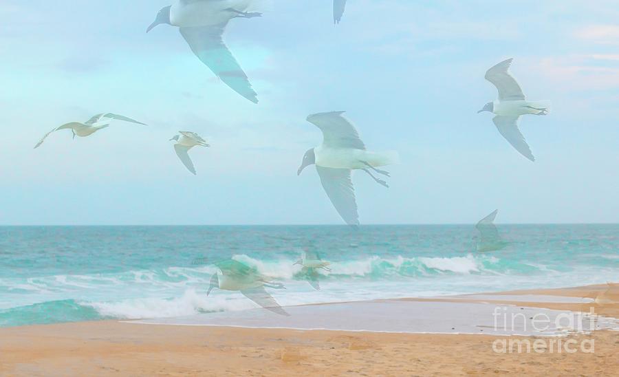 Seagull Photograph - Image of Gulls  by Cathy Lindsey