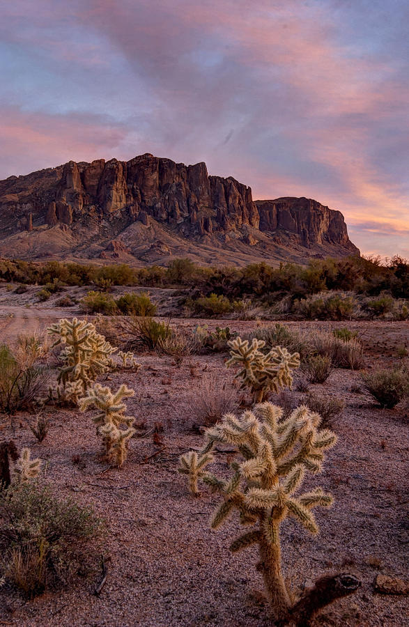 Desert Sunset Photograph by Mark Langford