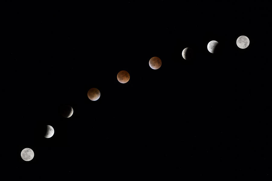 Blood Moon Photograph - Images from Texas  Phases of the Blood Moon  April 15 2014 by Rob Greebon