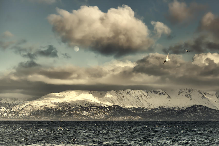 Imagine Alaska Photograph by Michele Cornelius