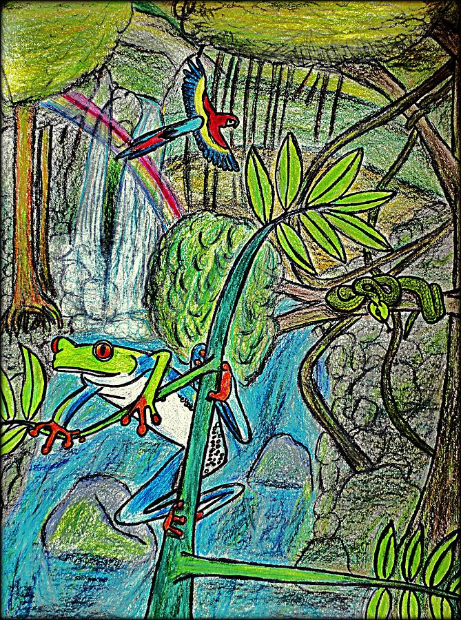 Imagined Rainforest Drawing by Matt Helm