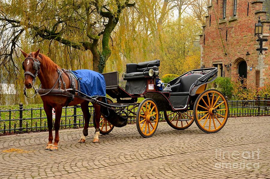 Immaculate horse and carriage Bruges Belgium Photograph by Imran Ahmed